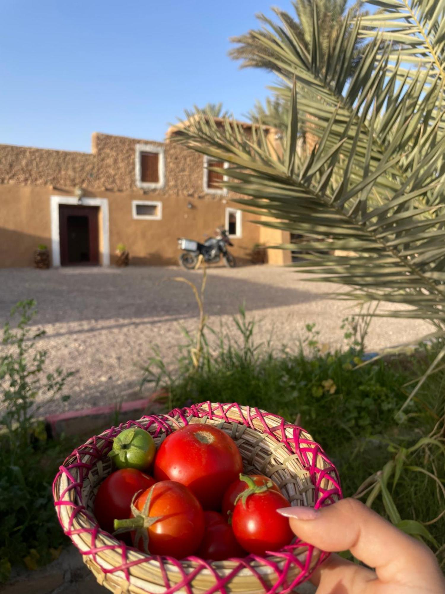 Maison D'Hote Dar Imrane Tata Esterno foto