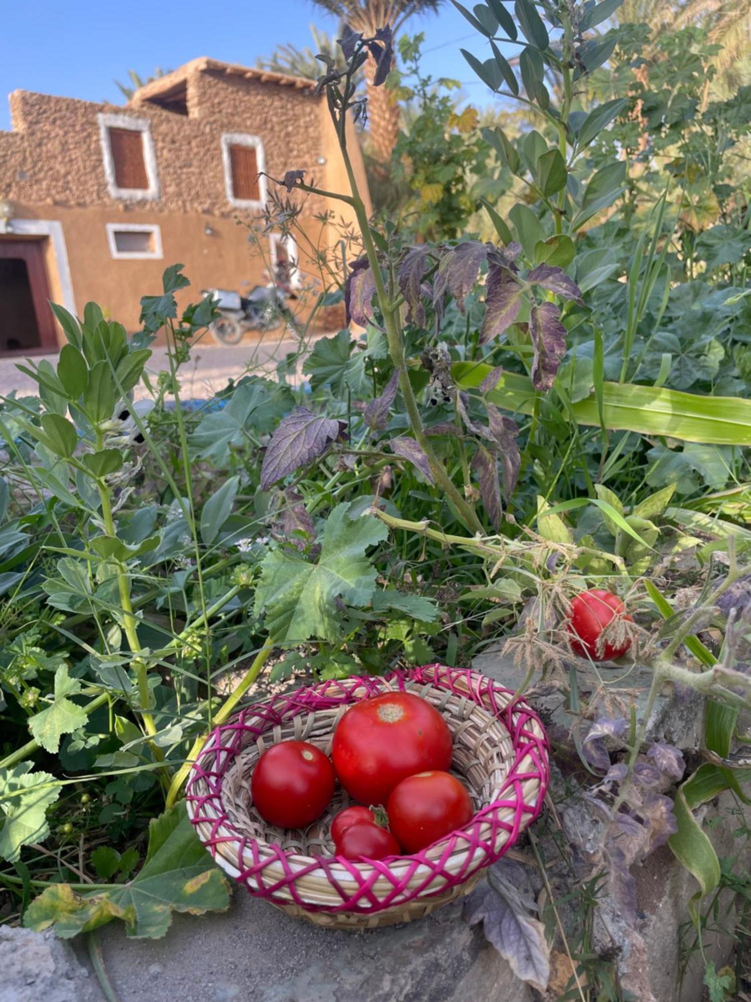 Maison D'Hote Dar Imrane Tata Esterno foto